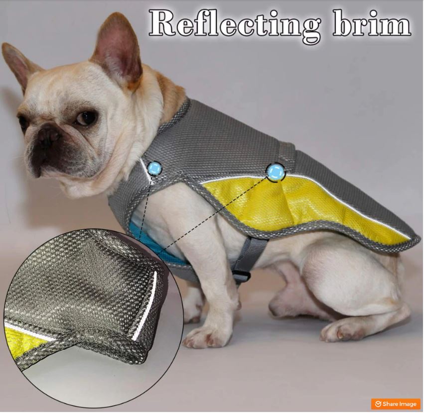 Coolify™ : Cooling Vest for Frenchie for Dog Moms & Dads-fadou