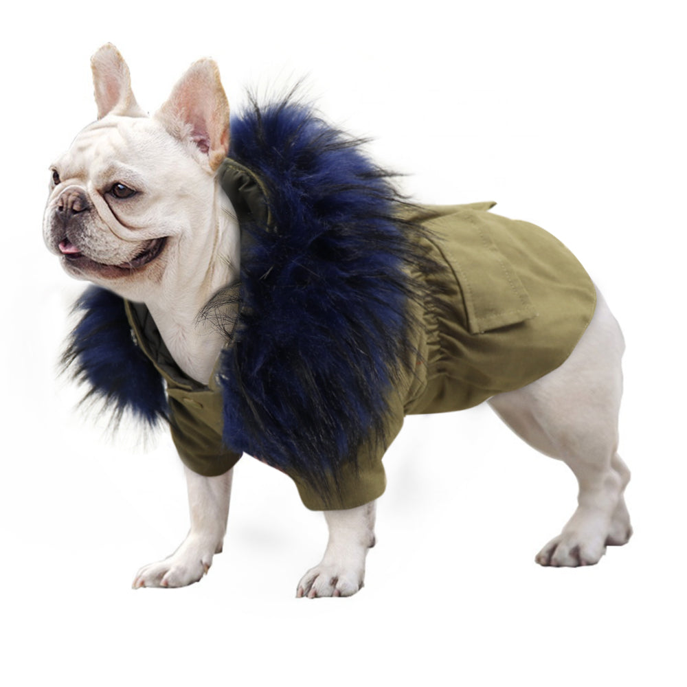 PawMax French Bulldog Winter Jacket for Training Sessions-fadou