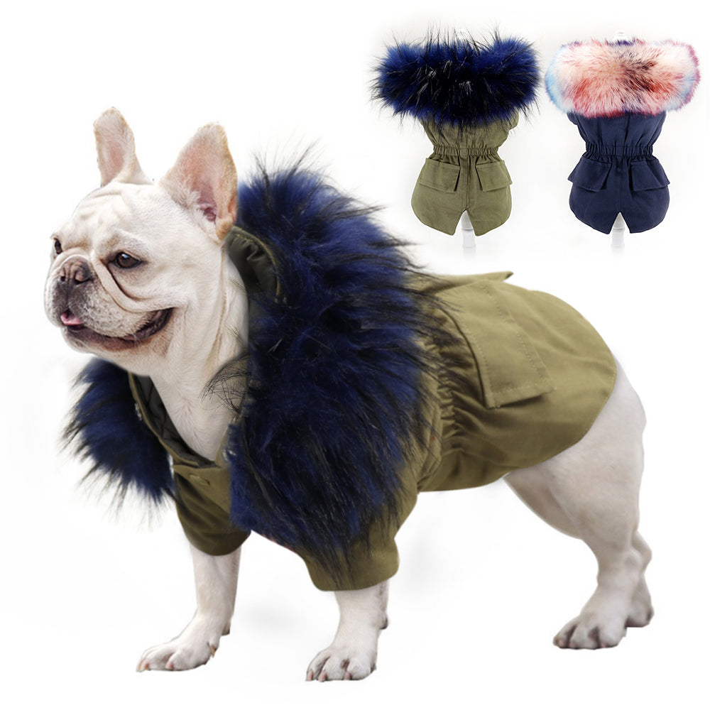 PawMax French Bulldog Winter Jacket for Training Sessions-fadou