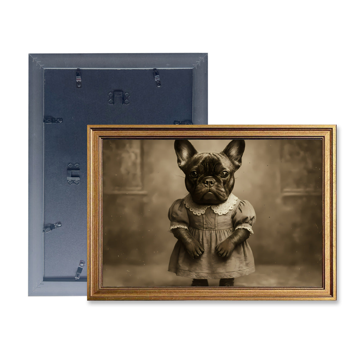 Zeus French Bulldog Framed Poster for Frenchie Enthusiasts-fadou