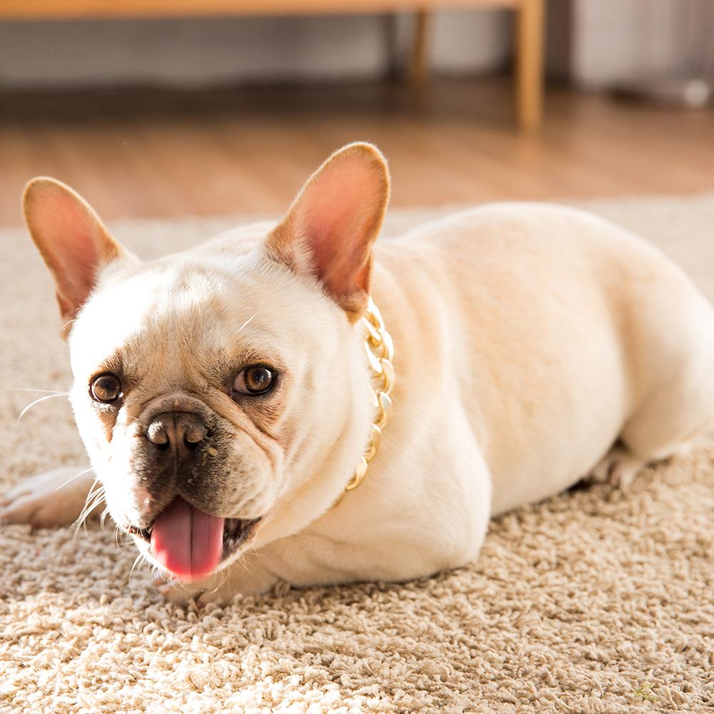 French Bulldog Adjustable Pendant Ring for Frenchie Enthusiasts-fadou