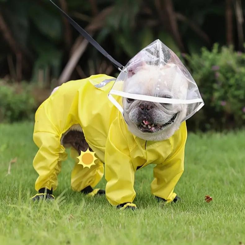 AquaTail French Bulldog Waterproof Coat for Playtime Fun-fadou