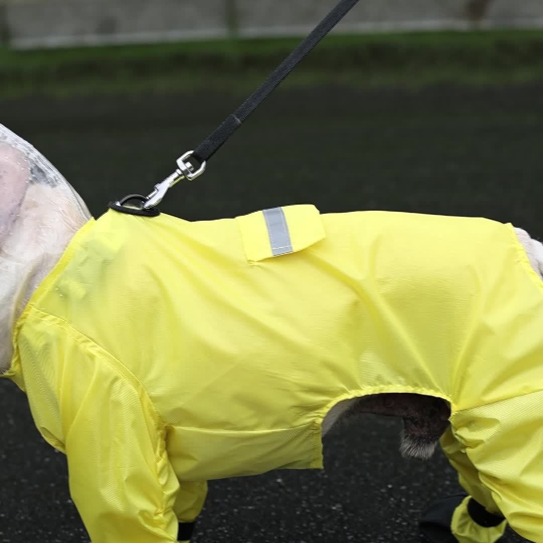 AquaTail French Bulldog Waterproof Coat for Playtime Fun-fadou
