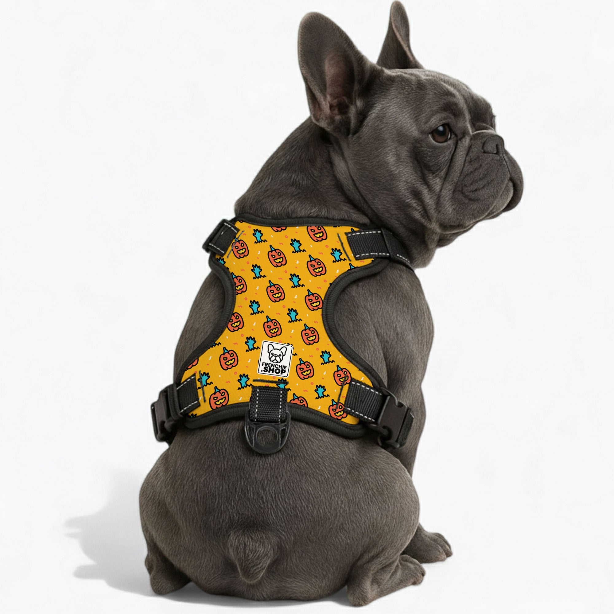 French Bulldog No-Pull Dog Harness for Flat-Face Breeds-fadou