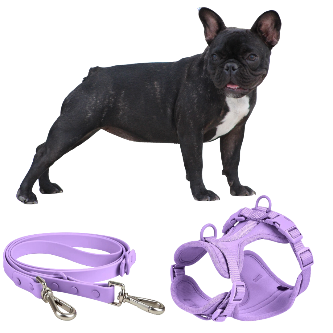 Frenchie Quick Release Harness Leash Set for Outdoor Adventures-fadou