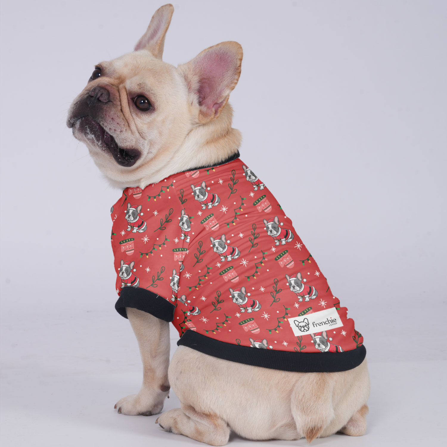 Kobe French Bulldog Winter Jacket for Training Sessions-fadou