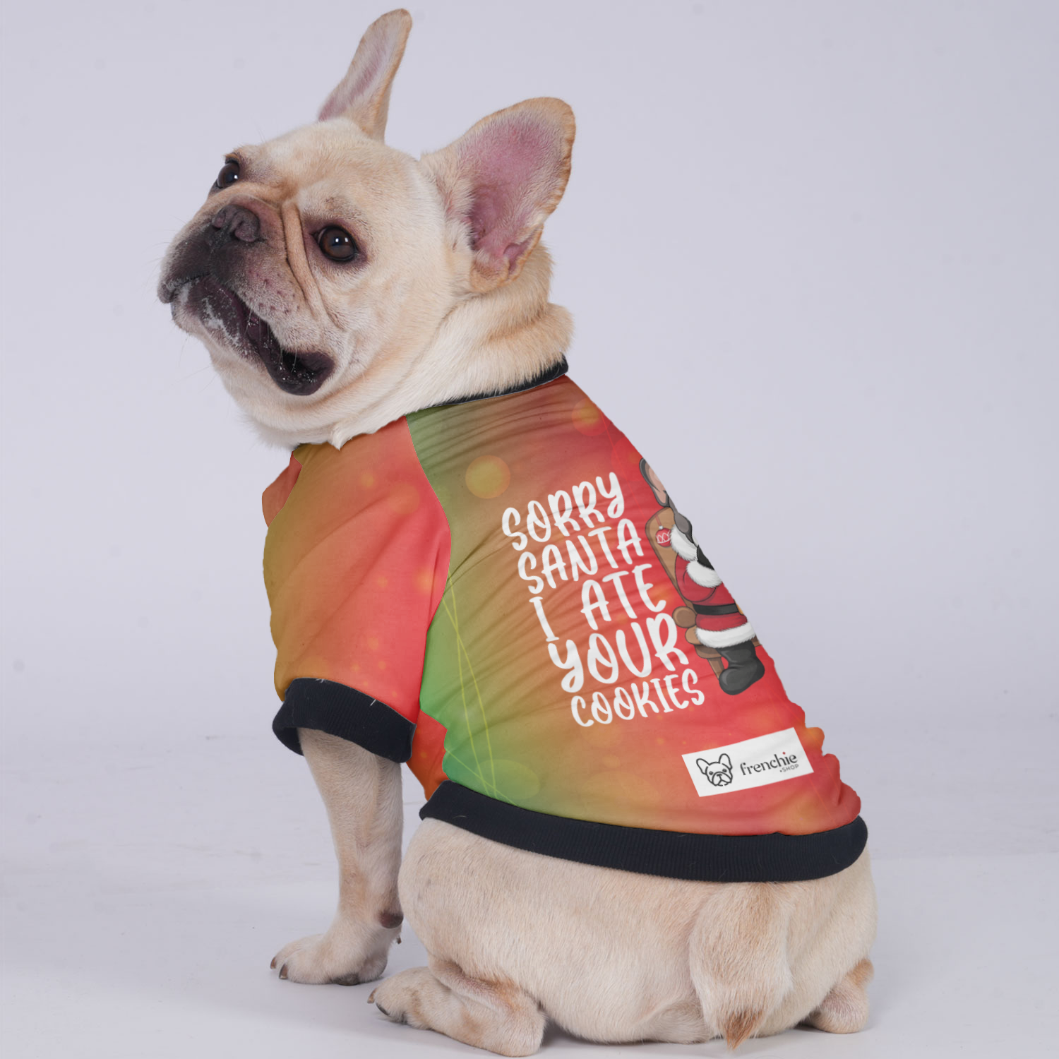 Sorry French Bulldog Pet Jacket for Brachycephalic Dogs-fadou
