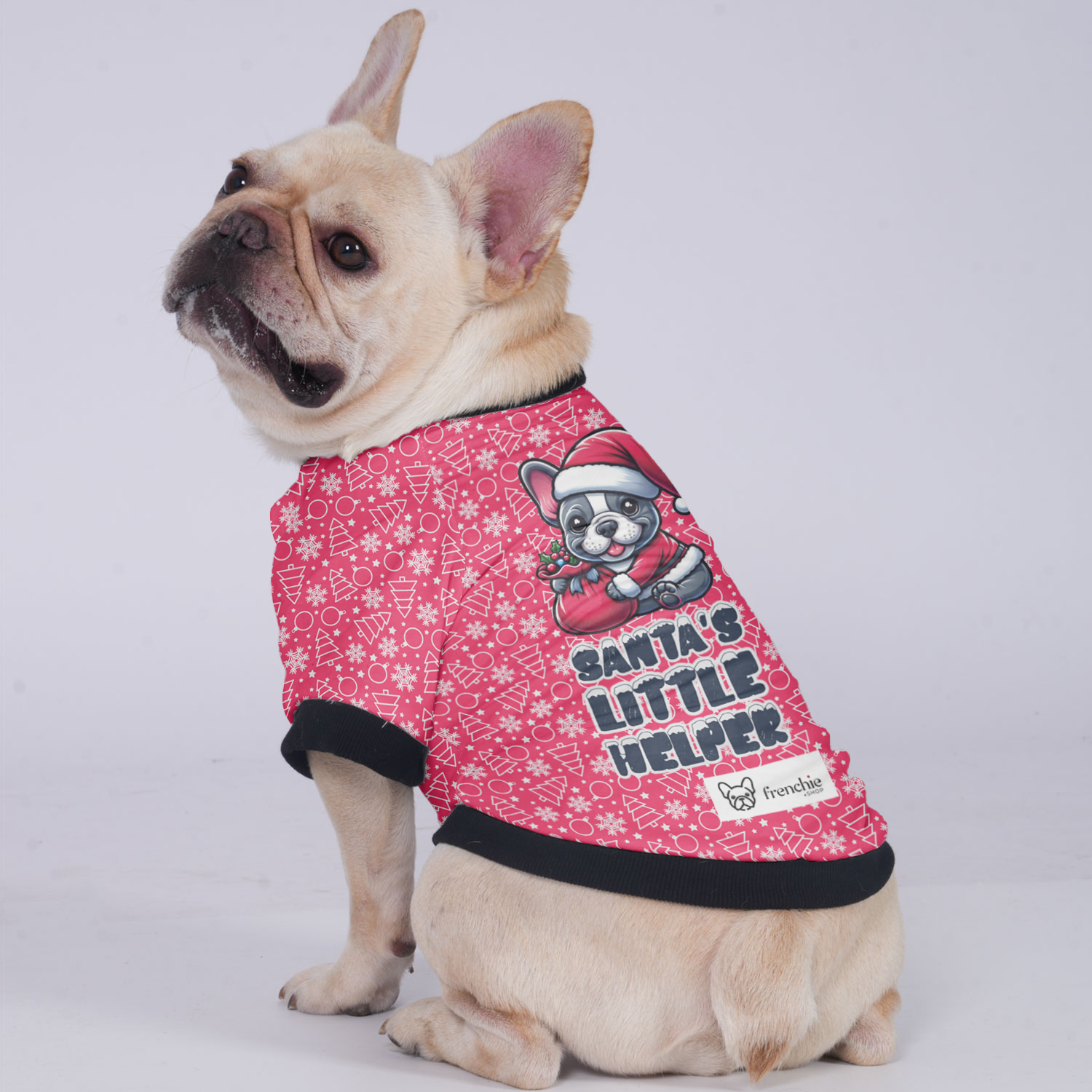 SANTA'S LITTLE HELPER - Jacket for French Bulldog for Stocky Dogs-fadou