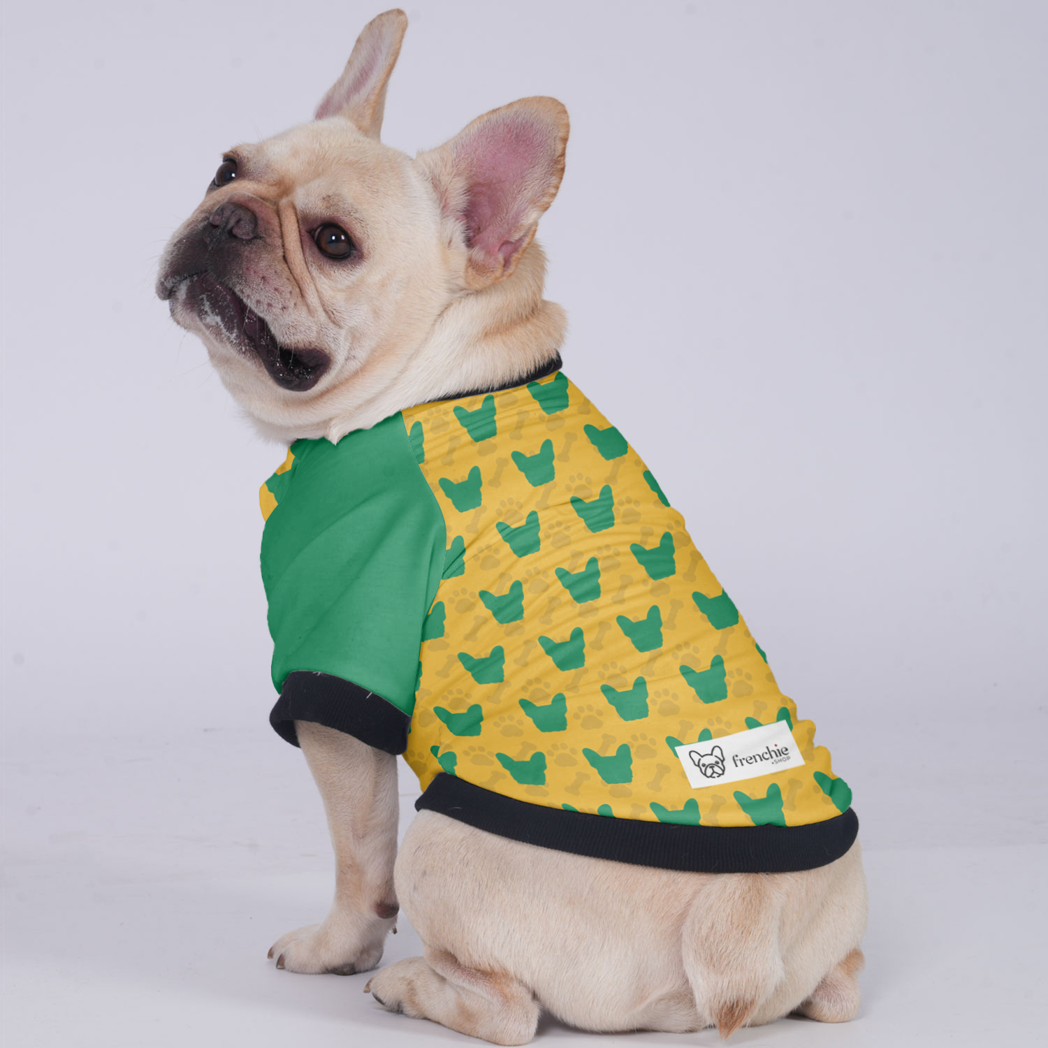 Brooklyn French Bulldog Winter Jacket for Training Sessions-fadou