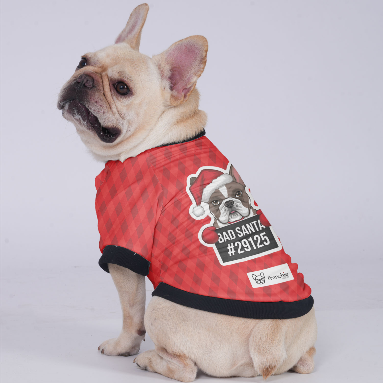 Bad French Bulldog Warm Outerwear for Brachycephalic Dogs-fadou