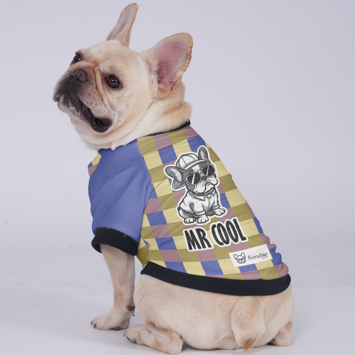 Mr Cool - Jacket for French Bulldog for Training Sessions-fadou