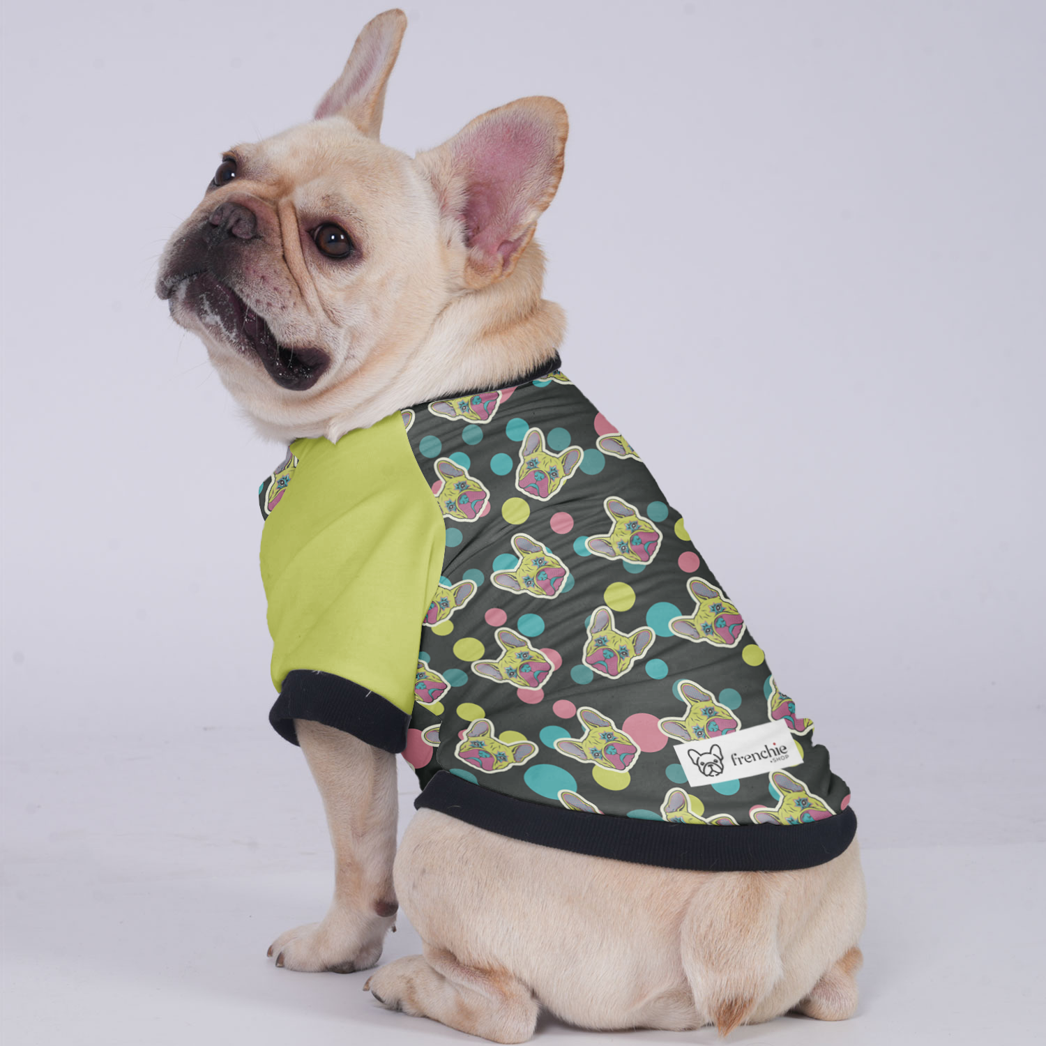 Larry French Bulldog Winter Jacket for Short-Nosed Dogs-fadou