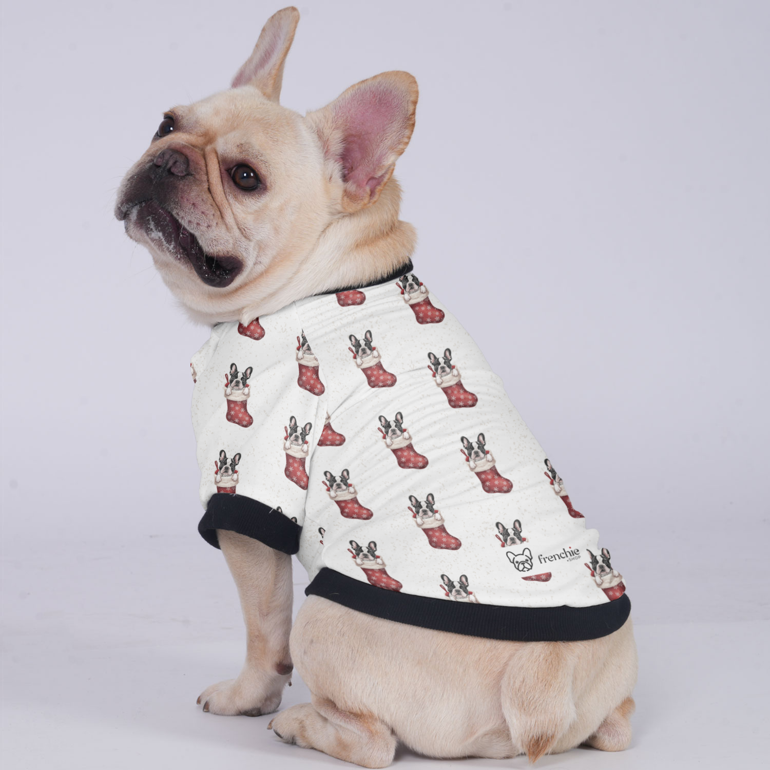 Thor - Jacket for French Bulldog for Brachycephalic Dogs-fadou