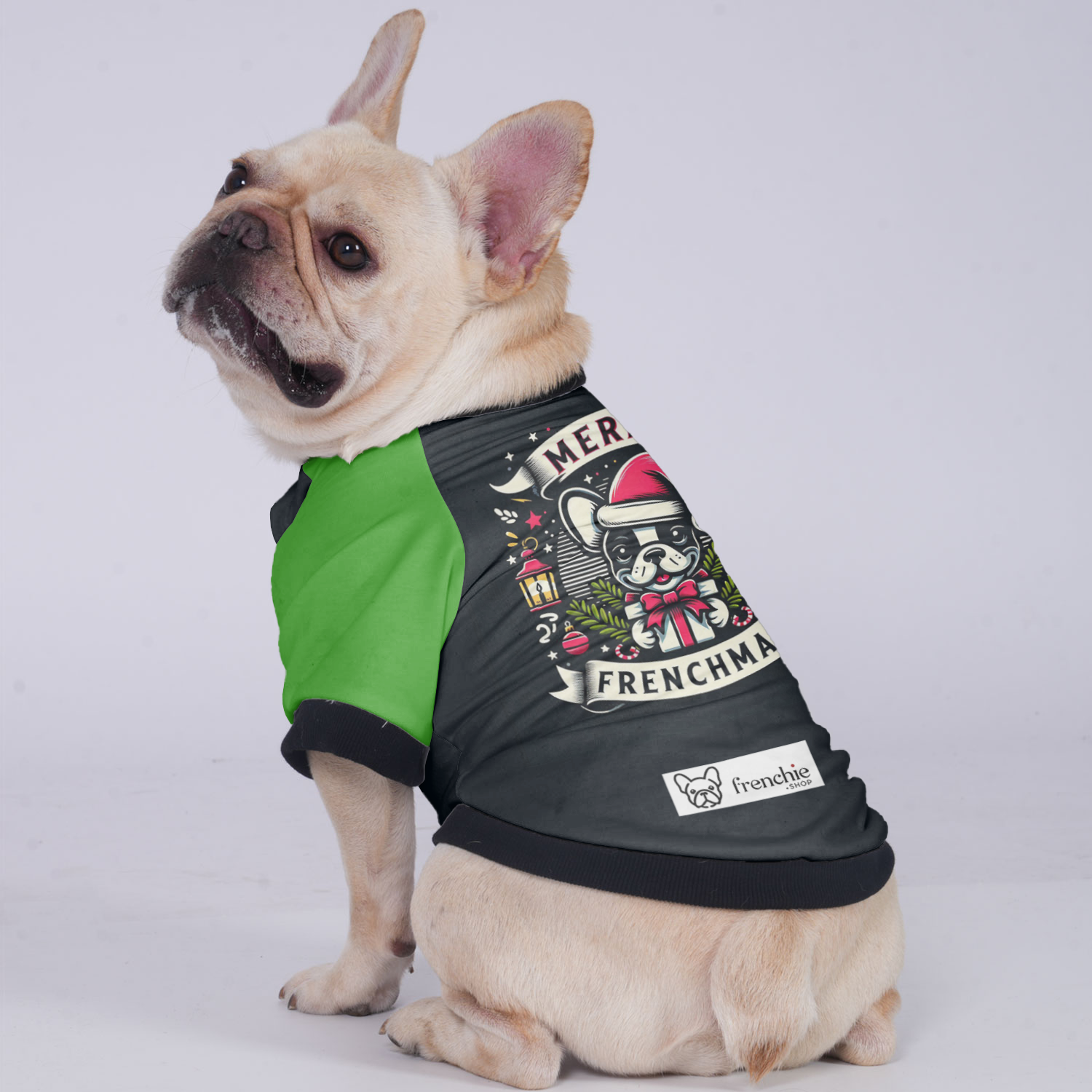 Bailey French Bulldog Winter Jacket for Training Sessions-fadou