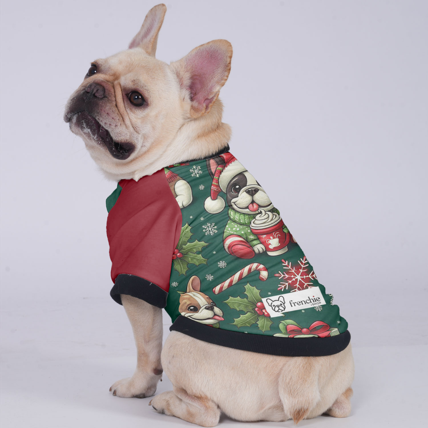 Cooper French Bulldog Warm Outerwear for Training Sessions-fadou