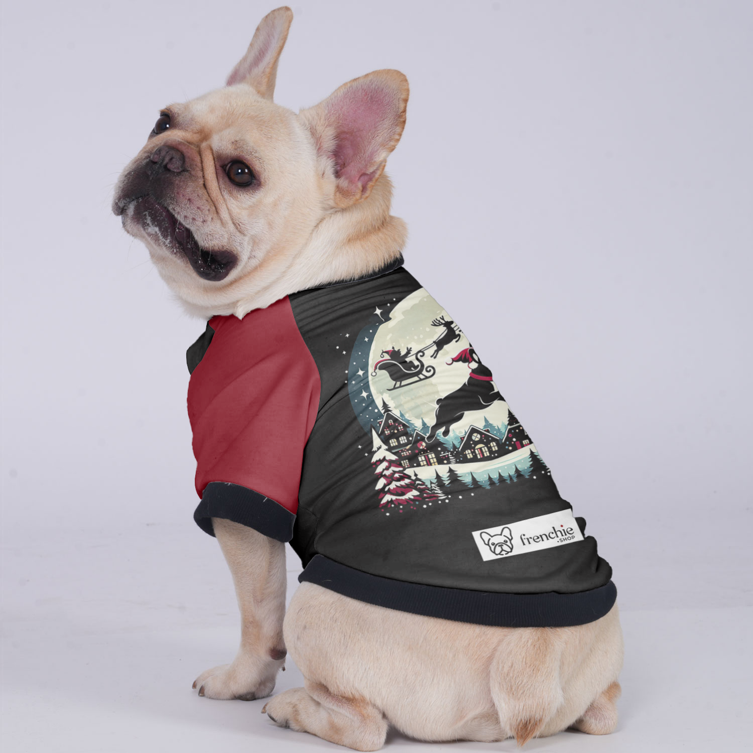 Molly French Bulldog Pet Jacket for Brachycephalic Dogs-fadou