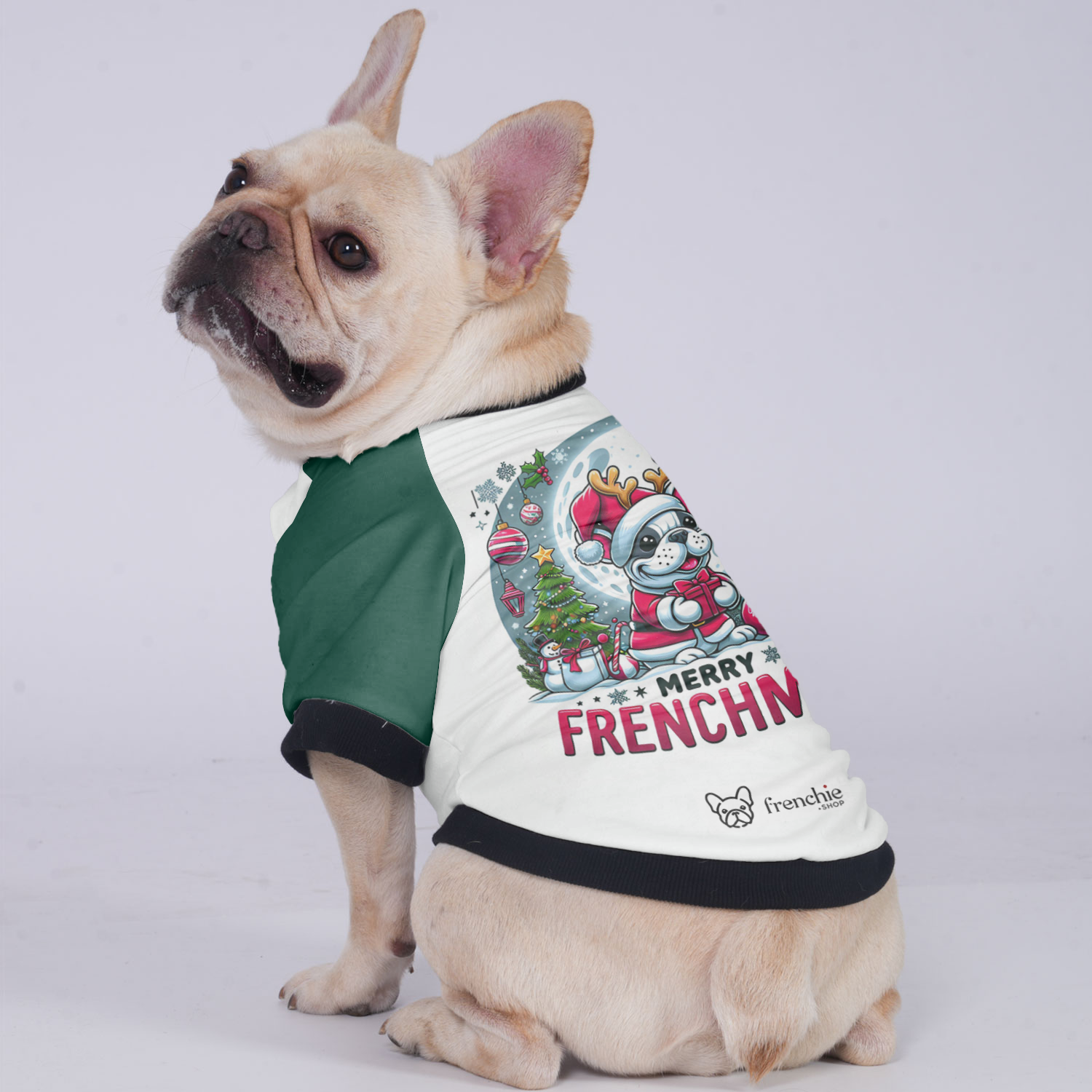 Sadie French Bulldog Warm Outerwear for Outdoor Adventures-fadou