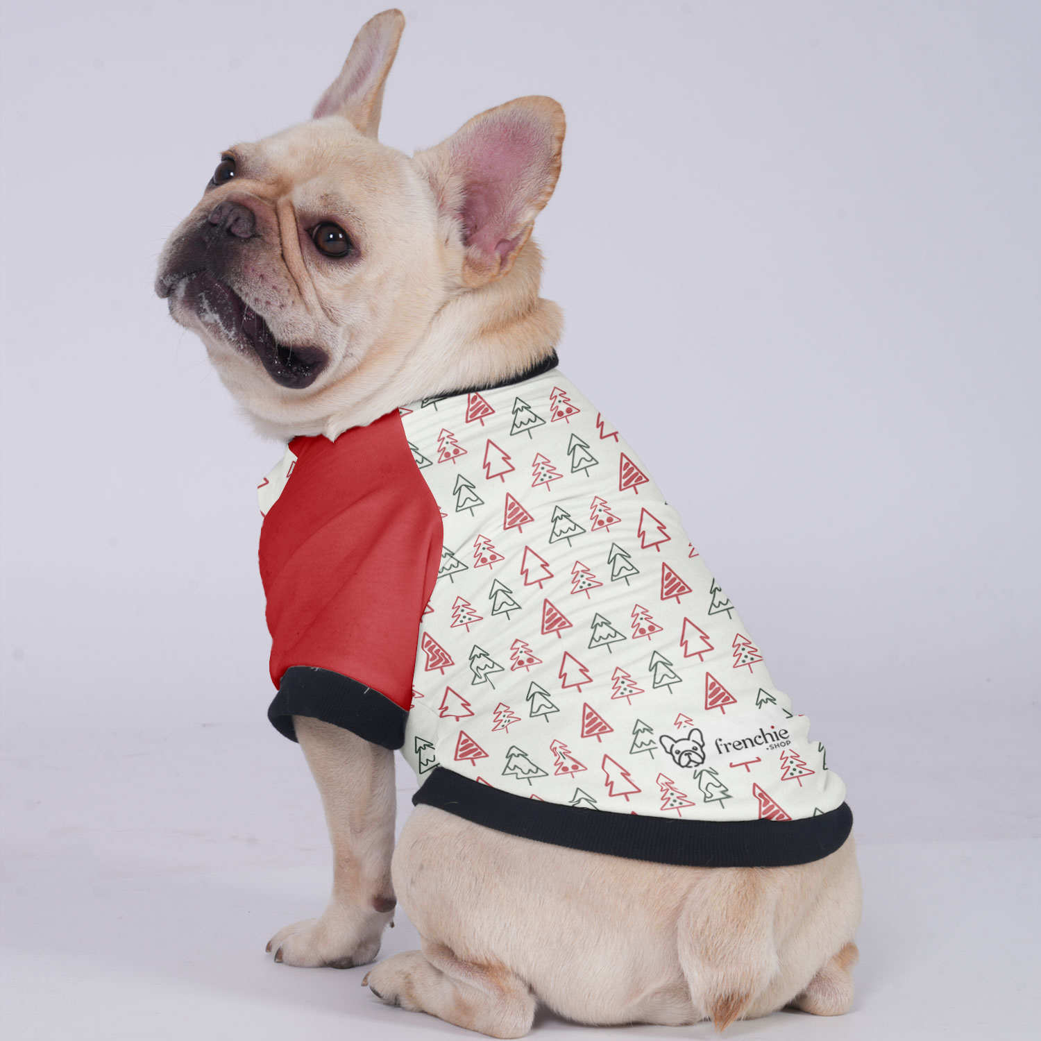 Rocky French Bulldog Pet Jacket for Brachycephalic Dogs-fadou