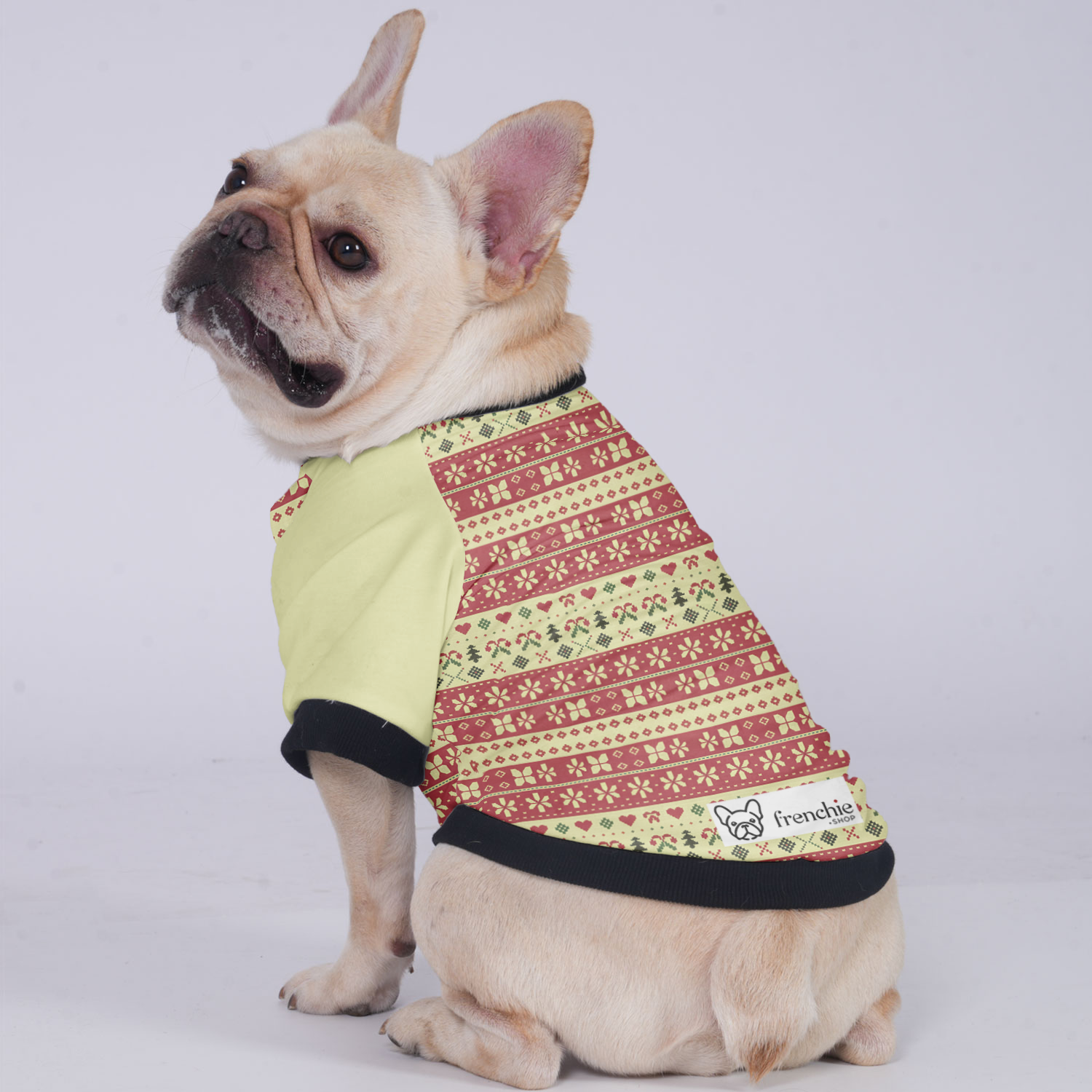 Remi French Bulldog Warm Outerwear for Outdoor Adventures-fadou