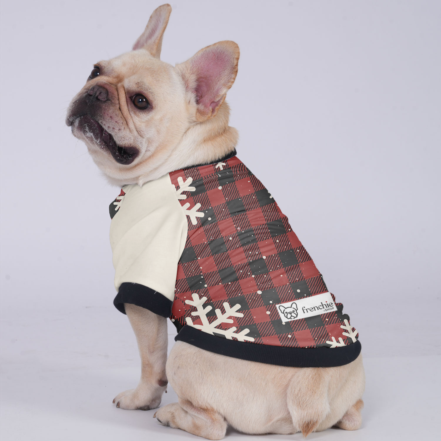 Chloe French Bulldog Pet Jacket for Brachycephalic Dogs-fadou
