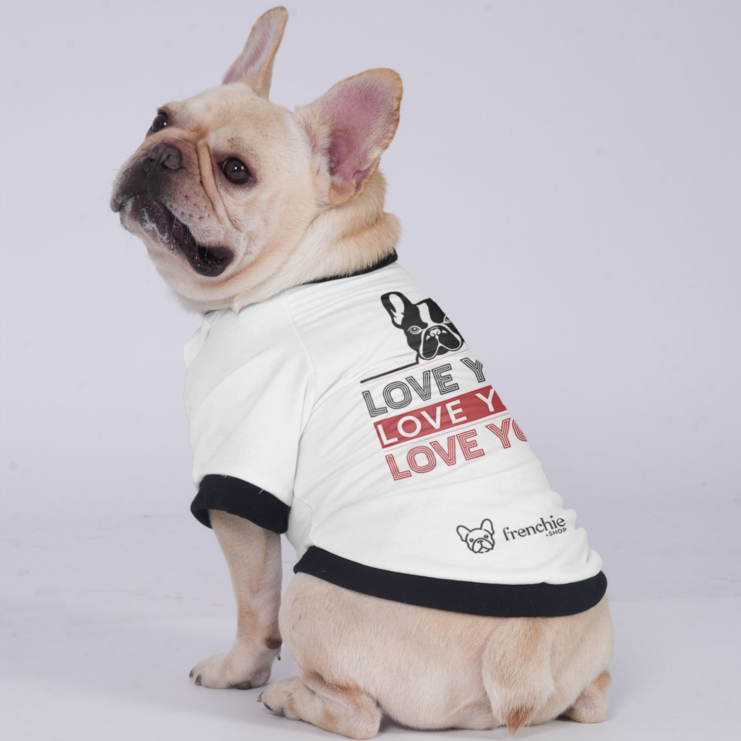Luna - Jacket for French Bulldog for Brachycephalic Dogs-fadou
