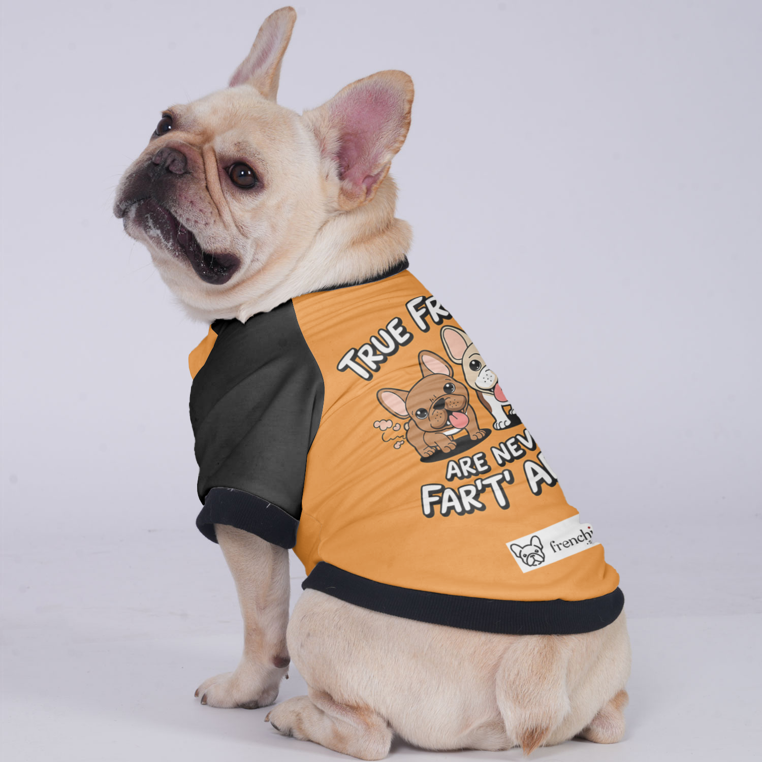 Zoey French Bulldog Warm Outerwear for Short-Nosed Dogs-fadou