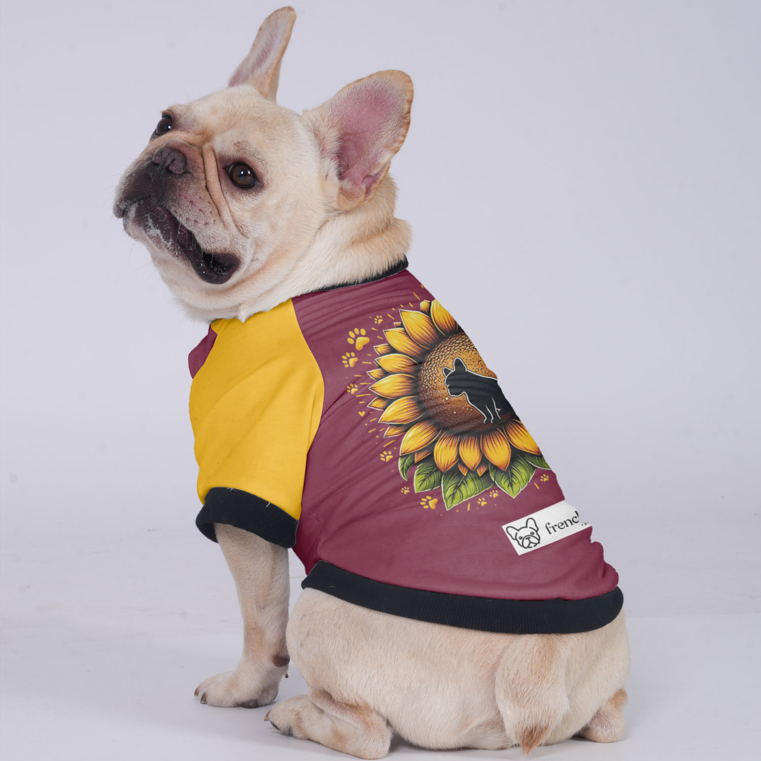Toby French Bulldog Warm Outerwear for Training Sessions-fadou
