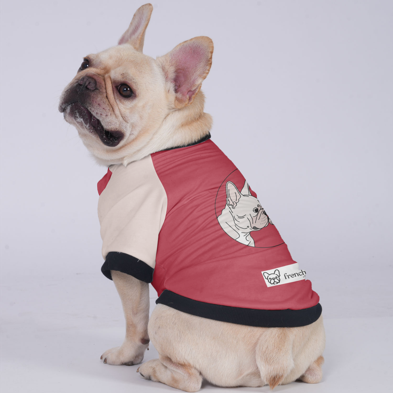 Sophie French Bulldog Pet Jacket for Brachycephalic Dogs-fadou
