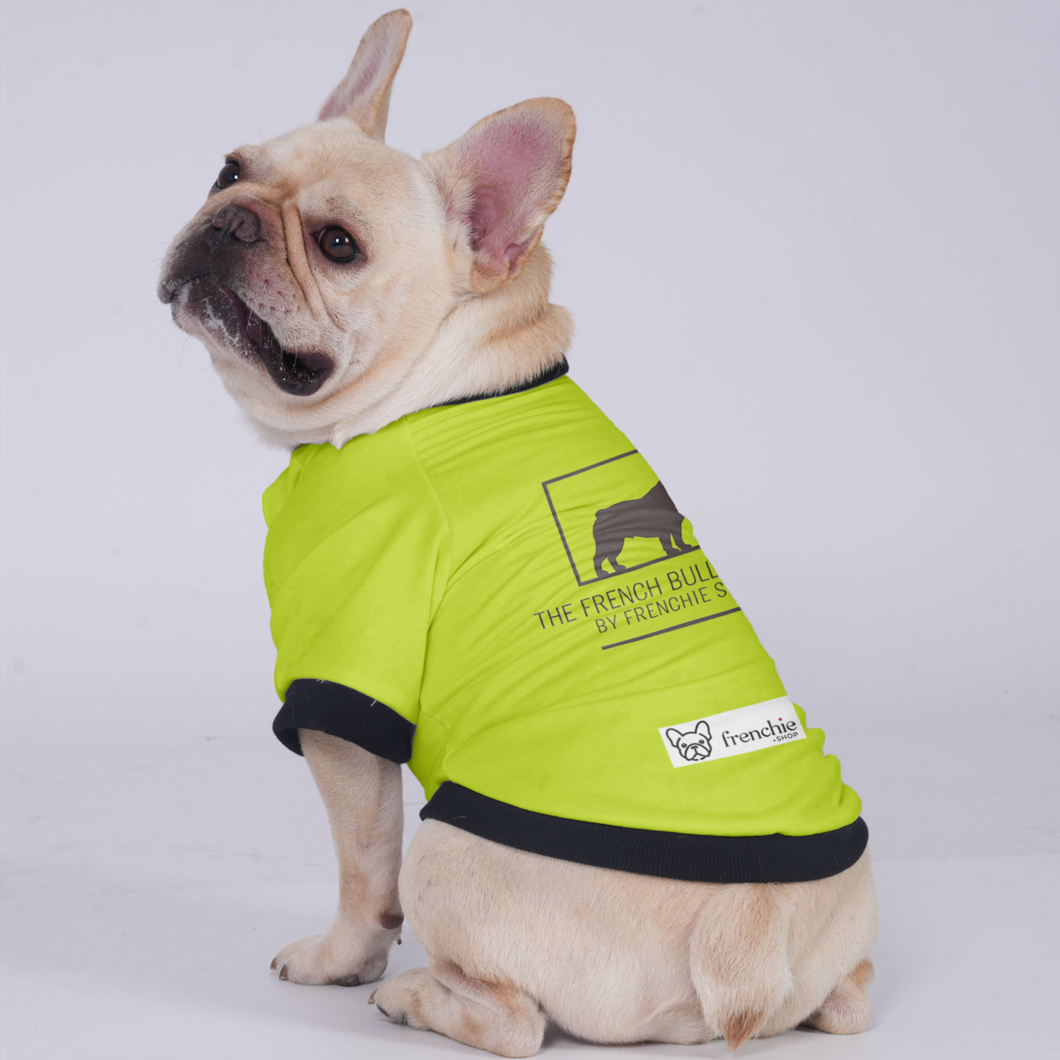 Max French Bulldog Warm Outerwear for Outdoor Adventures-fadou
