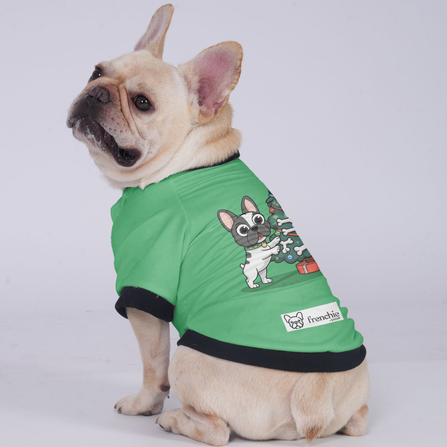 Daisy French Bulldog Winter Jacket for Flat-Face Breeds-fadou