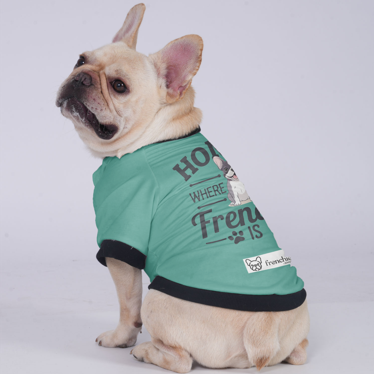 Charlie French Bulldog Warm Outerwear for Outdoor Adventures-fadou