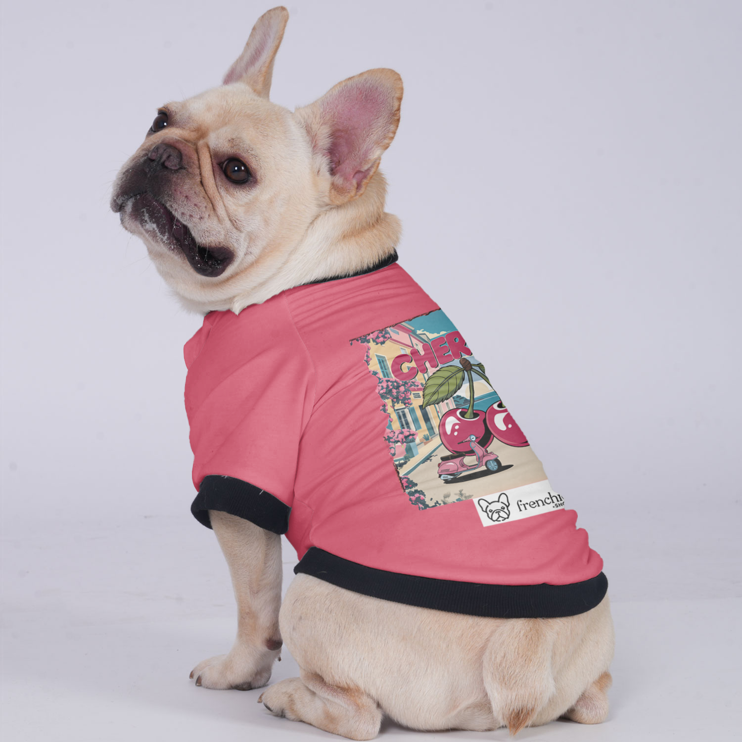 Lady French Bulldog Warm Outerwear for Flat-Face Breeds-fadou