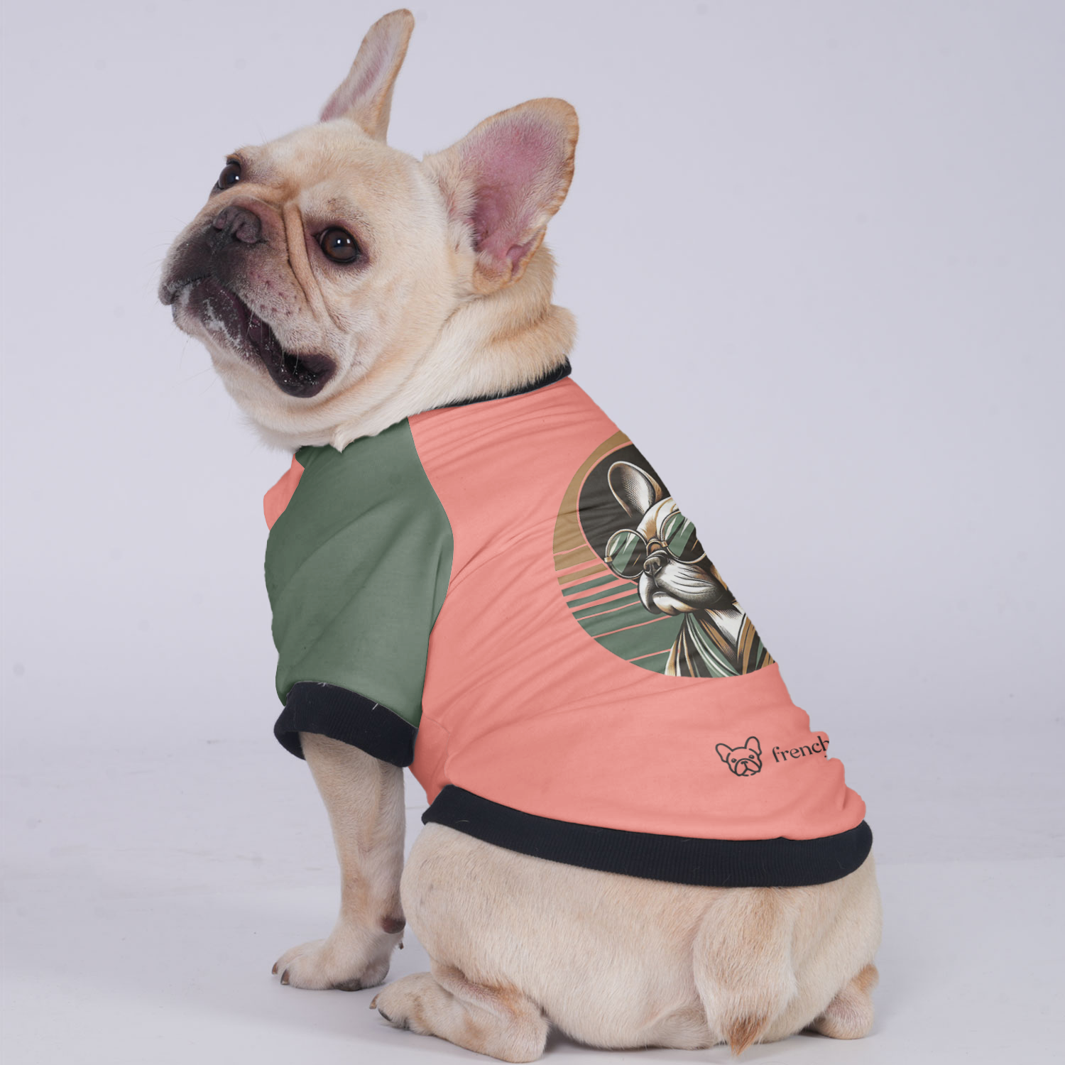 Lucy French Bulldog Winter Jacket for Training Sessions-fadou