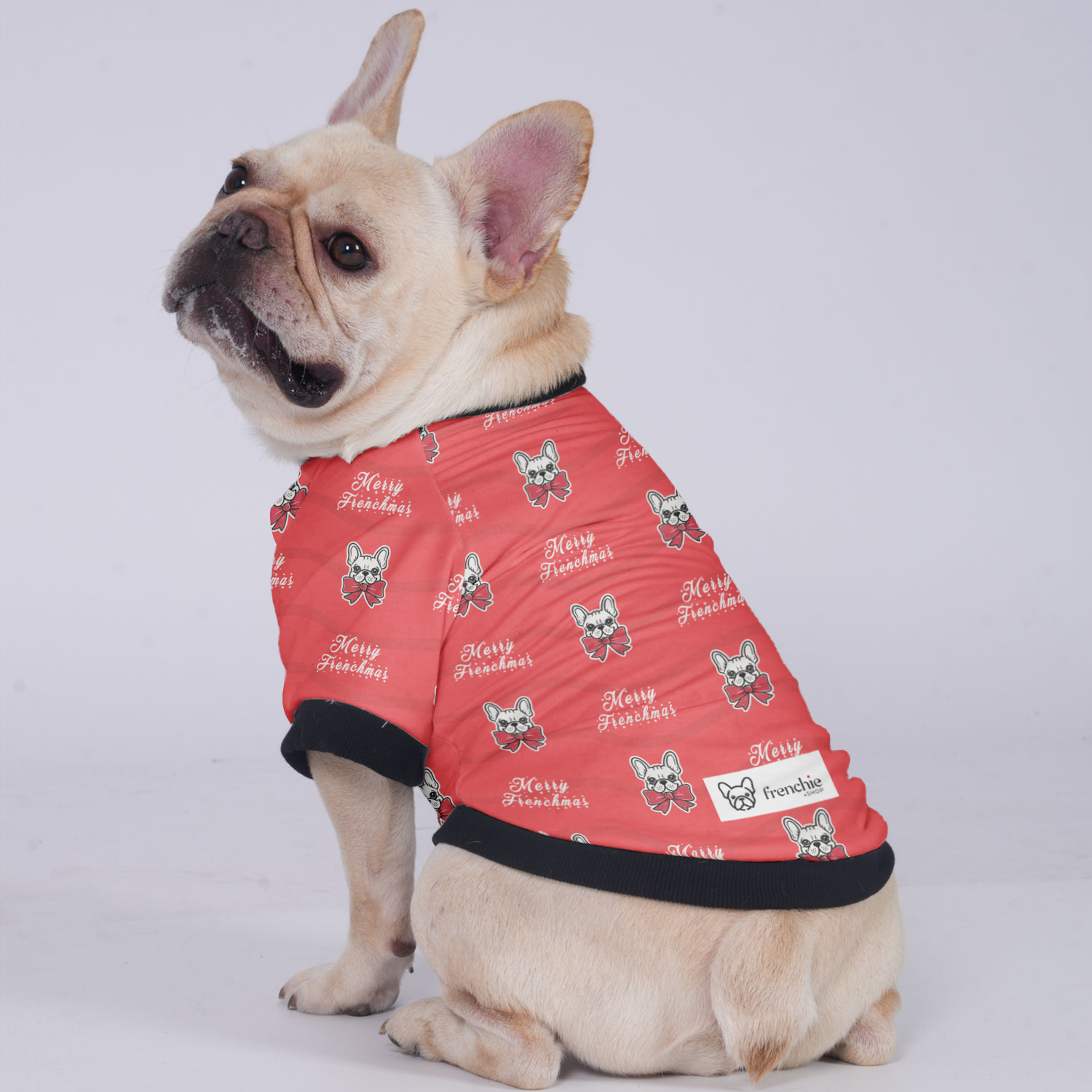 Merry French Bulldog Winter Jacket for Outdoor Adventures-fadou