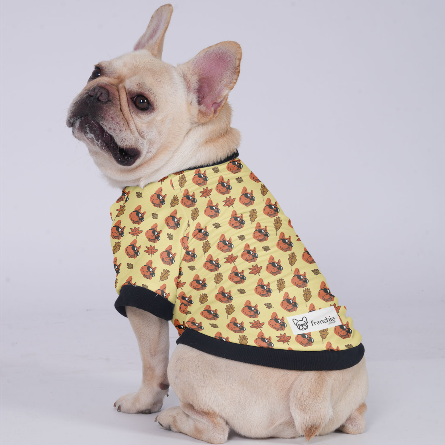 Butter French Bulldog Winter Jacket for Short-Nosed Dogs-fadou