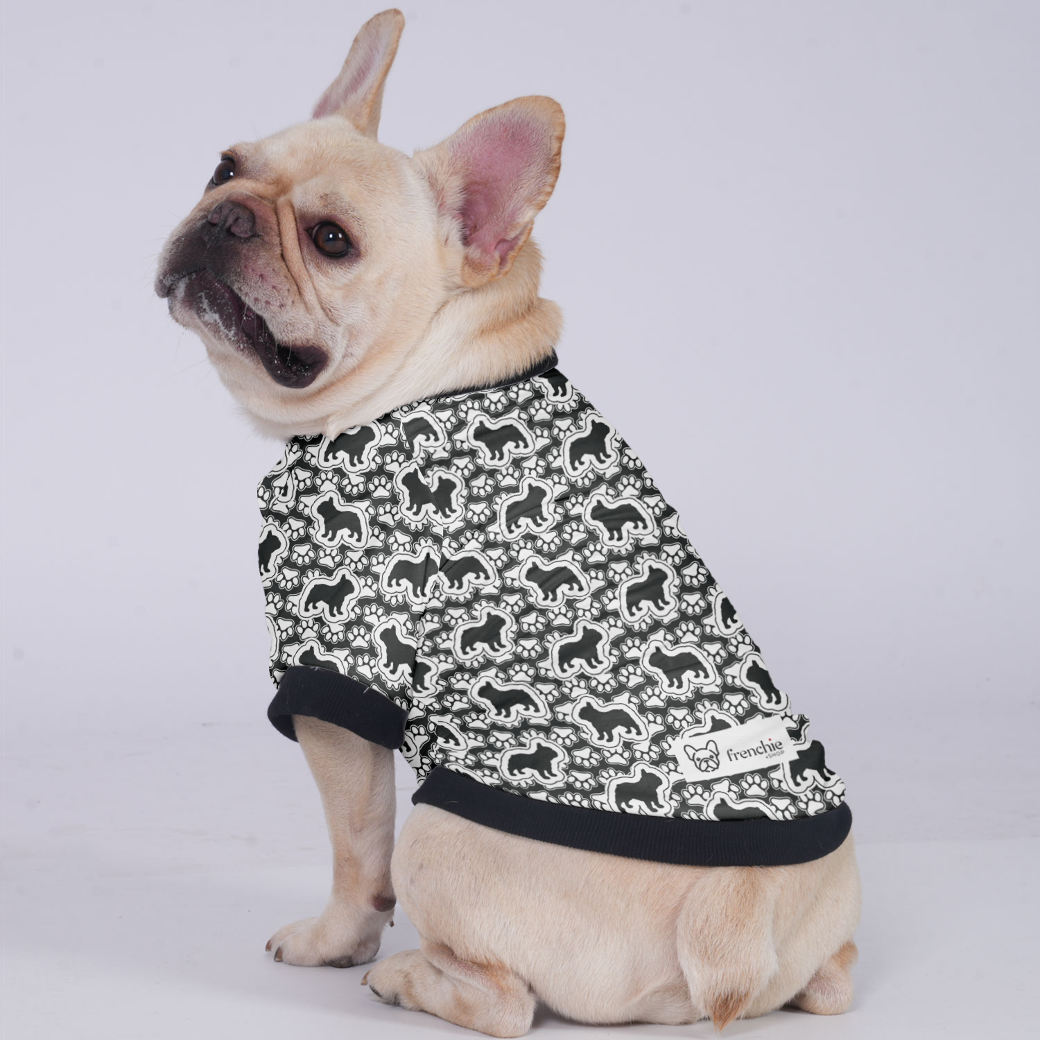 Ace French Bulldog Warm Outerwear for Training Sessions-fadou