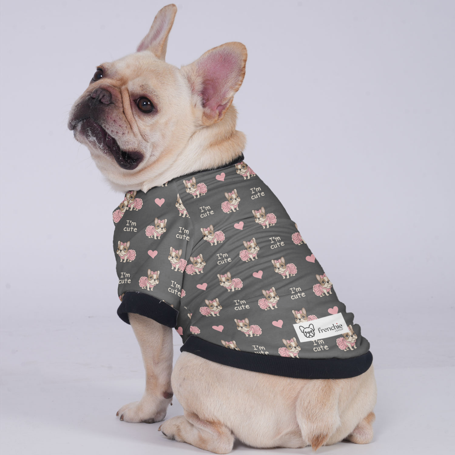 James French Bulldog Winter Jacket for Outdoor Adventures-fadou