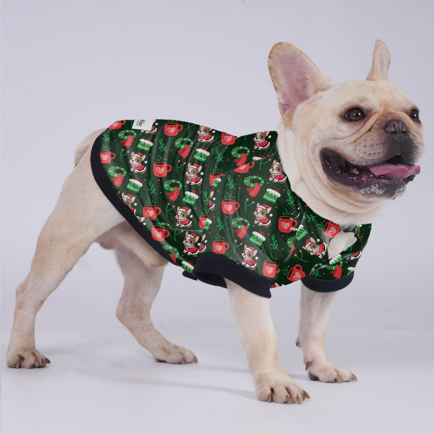 Cutie French Bulldog Winter Jacket for Brachycephalic Dogs-fadou