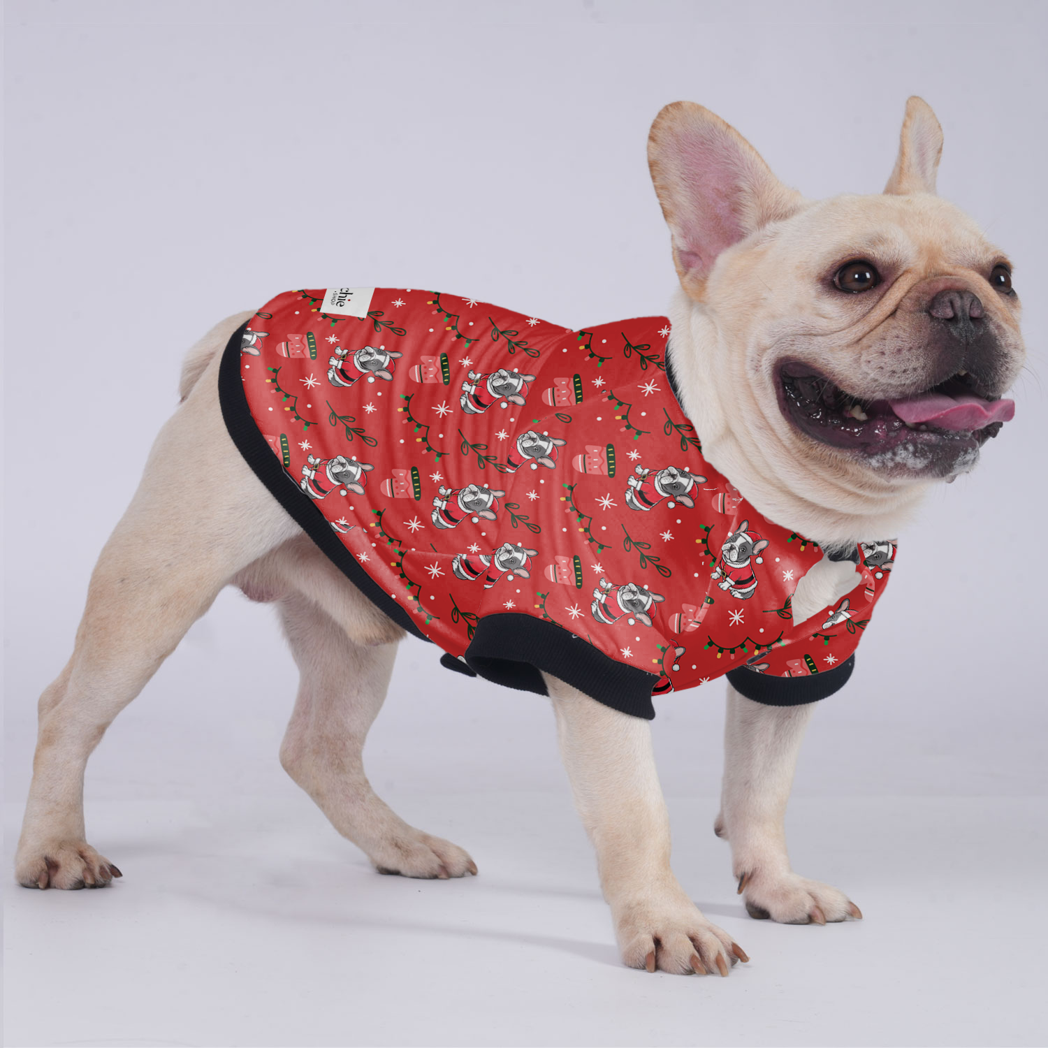 Kobe French Bulldog Winter Jacket for Training Sessions-fadou