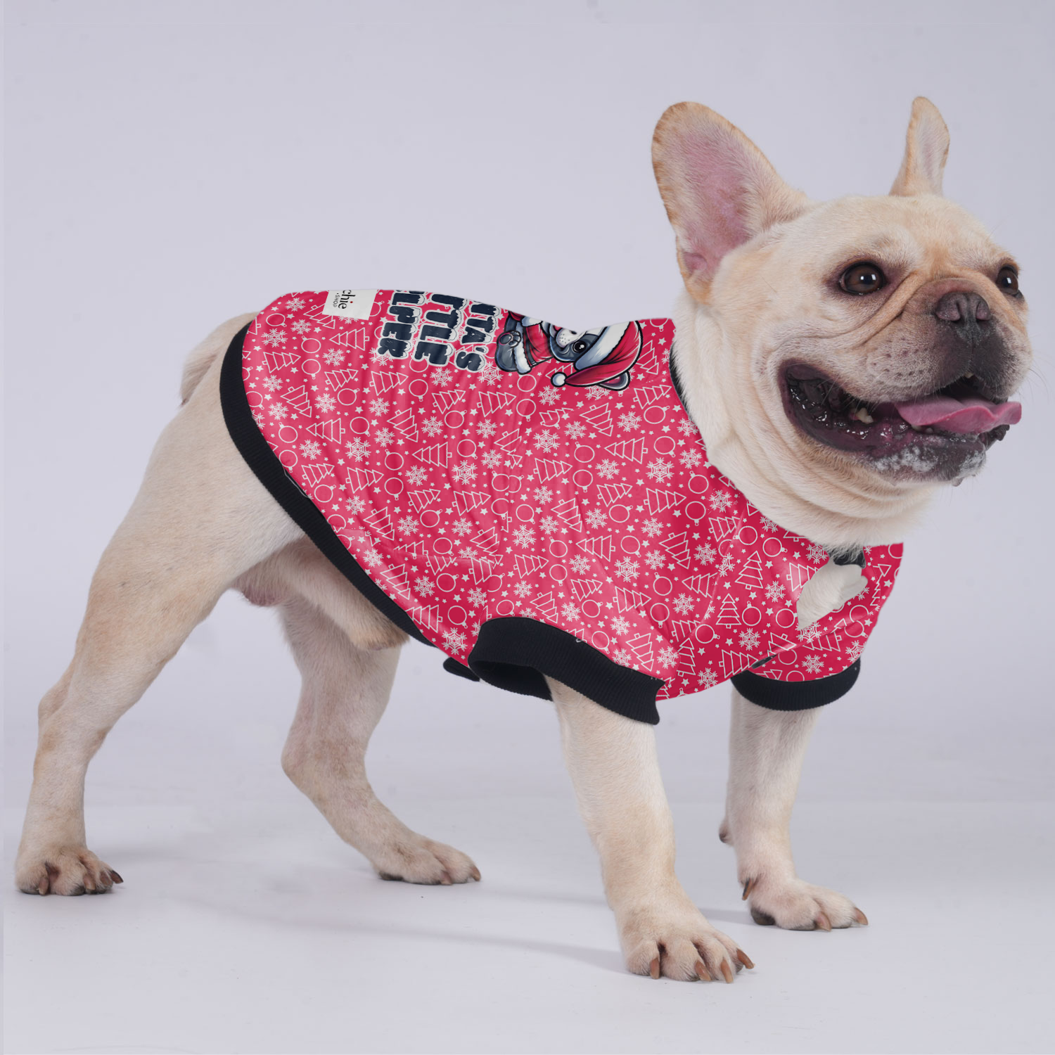 SANTA'S LITTLE HELPER - Jacket for French Bulldog for Stocky Dogs-fadou