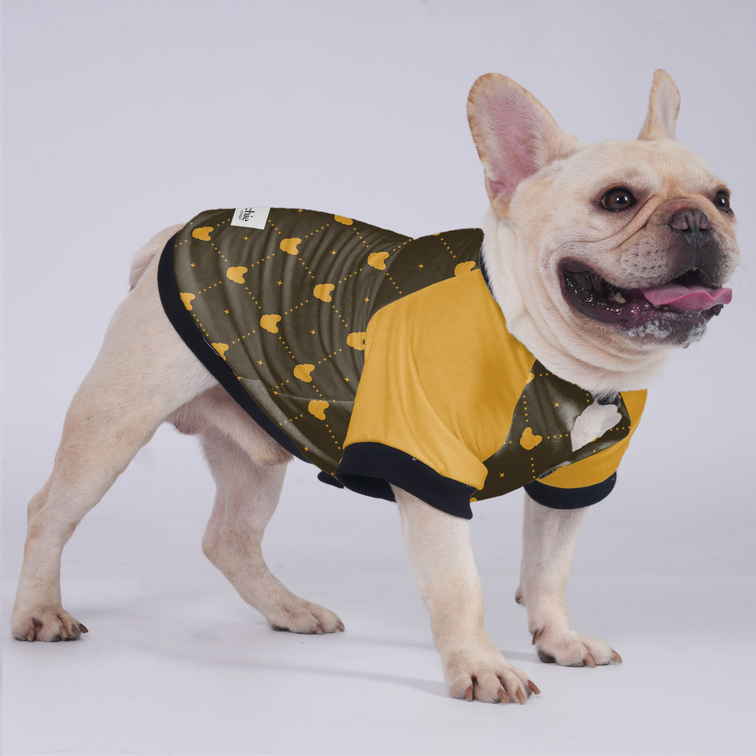 Lincoln French Bulldog Warm Outerwear for Outdoor Adventures-fadou