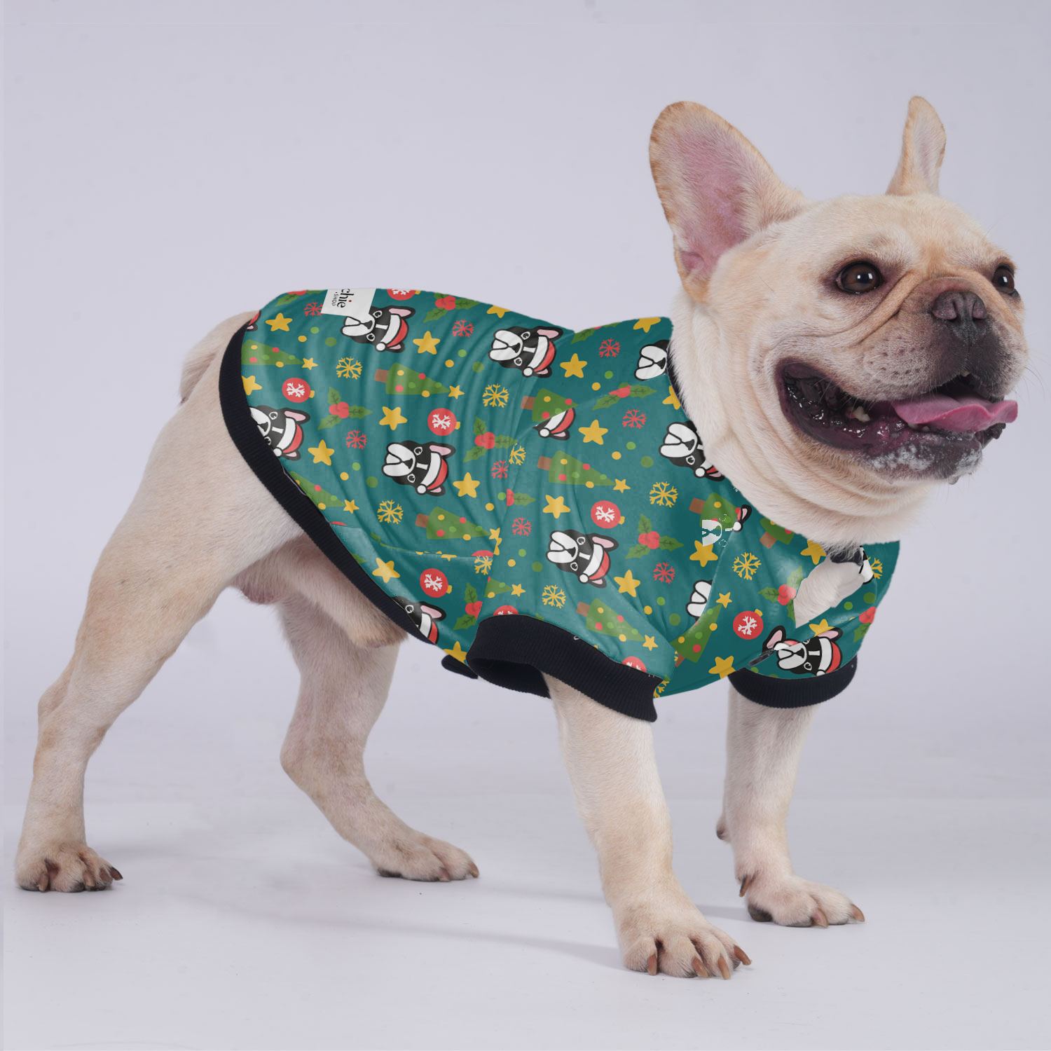 Pablo French Bulldog Pet Jacket for Brachycephalic Dogs-fadou
