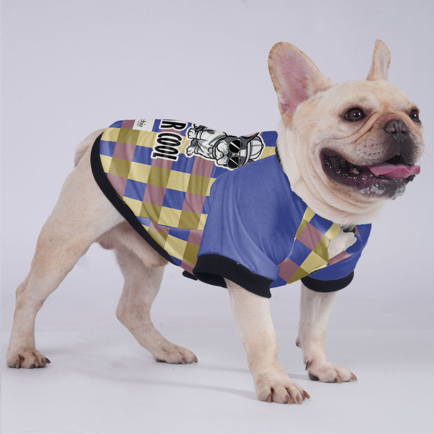 Mr Cool - Jacket for French Bulldog for Training Sessions-fadou