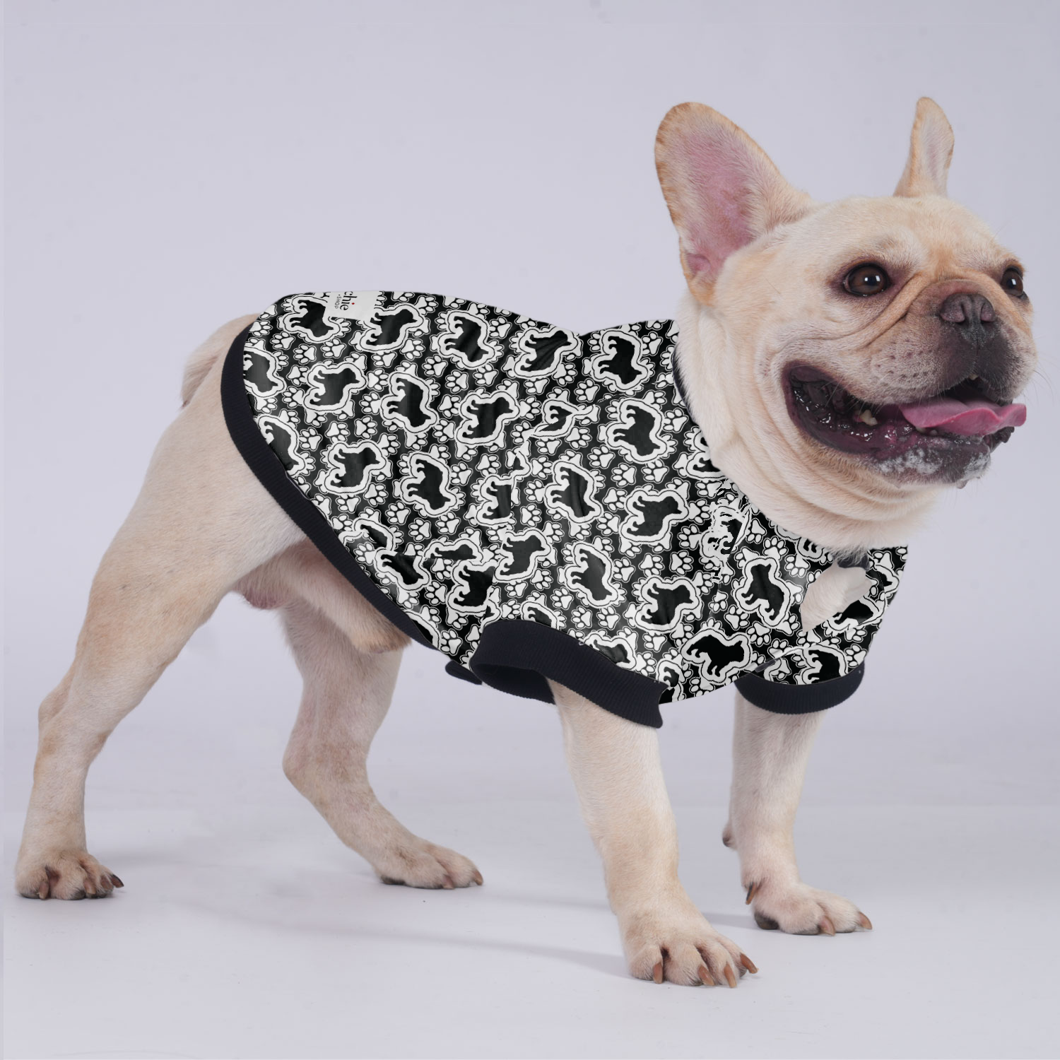 Ace French Bulldog Warm Outerwear for Training Sessions-fadou