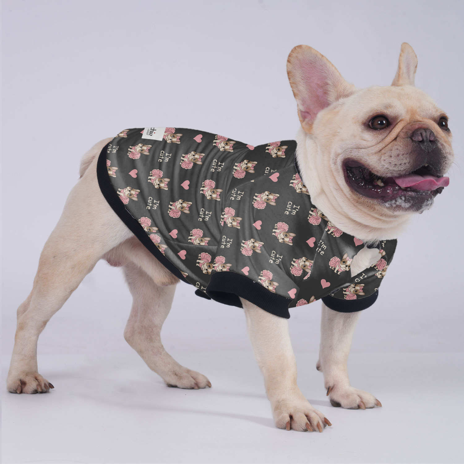 James French Bulldog Winter Jacket for Outdoor Adventures-fadou
