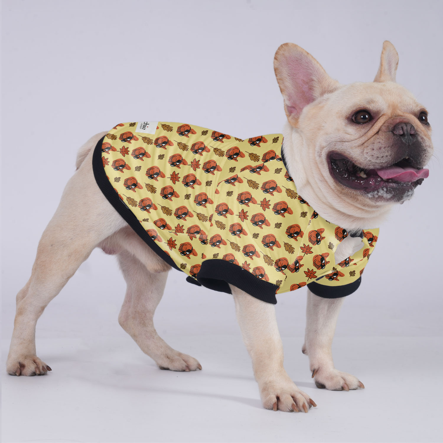 Butter French Bulldog Winter Jacket for Short-Nosed Dogs-fadou