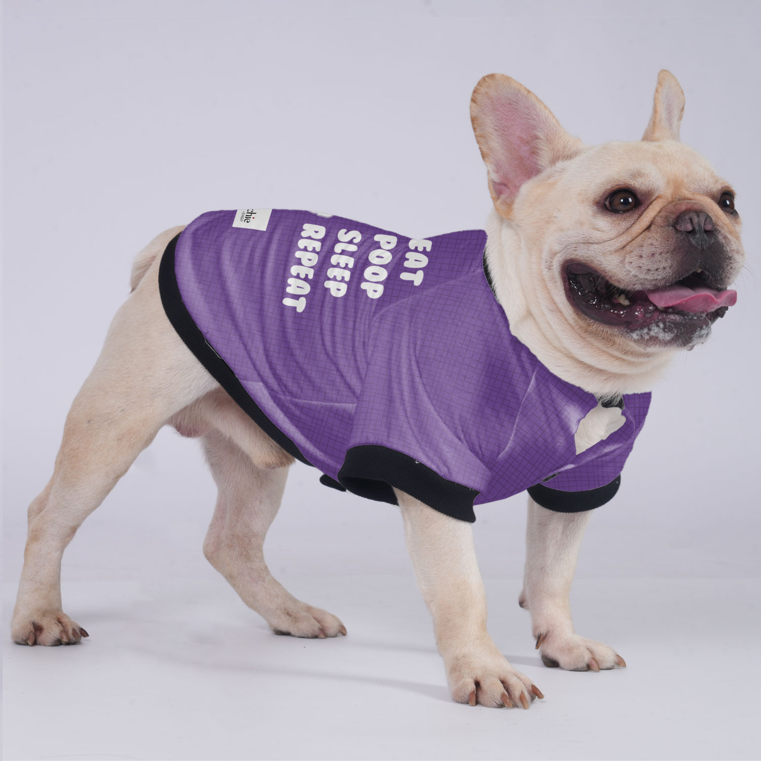 Eat,Poop,Sleep,Repeat - Jacket for French Bulldog for French Bulldogs-fadou