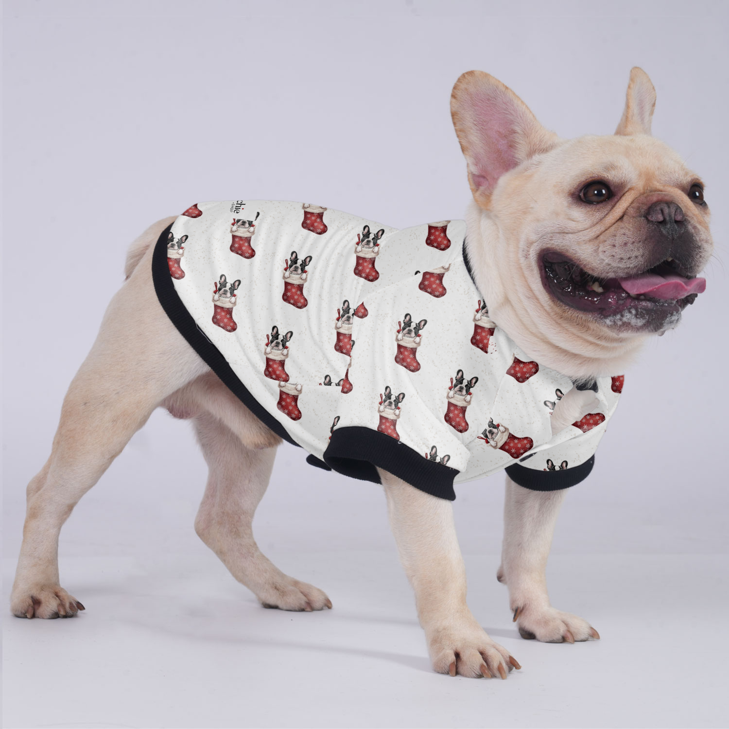 Thor - Jacket for French Bulldog for Brachycephalic Dogs-fadou