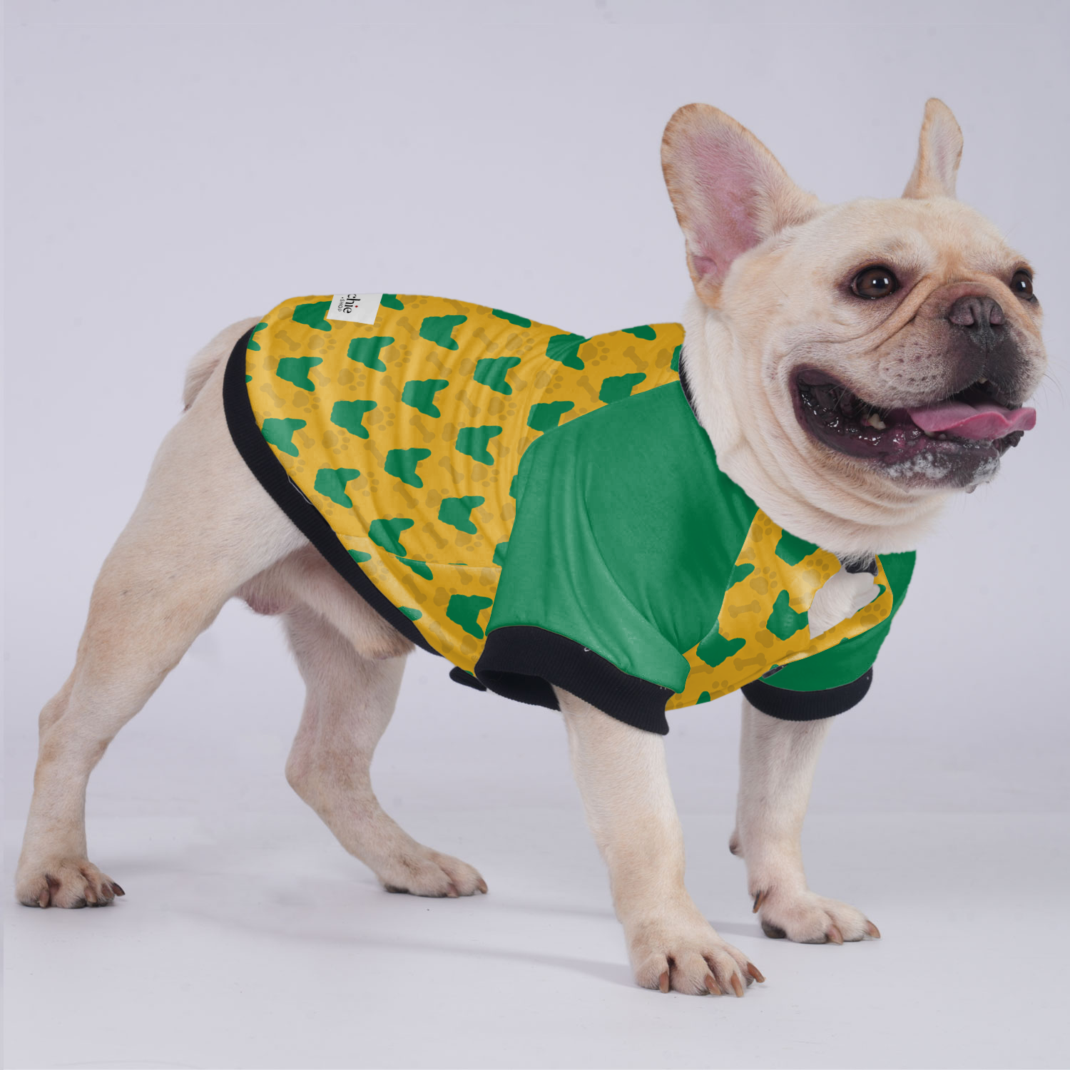 Brooklyn French Bulldog Winter Jacket for Training Sessions-fadou