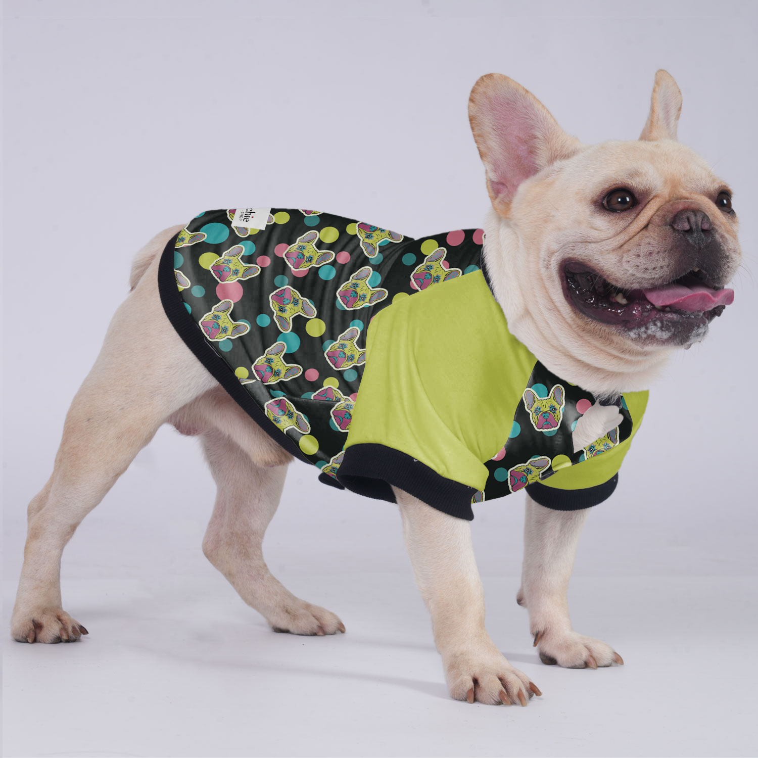 Larry French Bulldog Winter Jacket for Short-Nosed Dogs-fadou